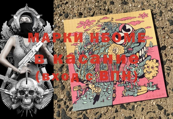индика Кинешма