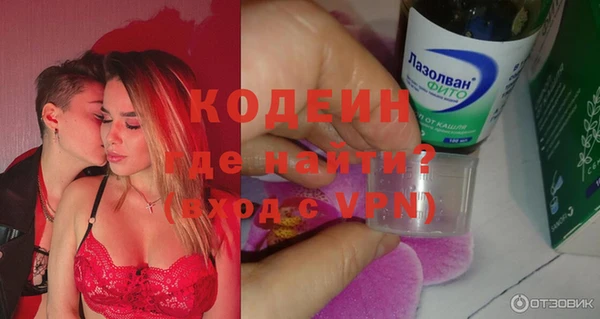 индика Кинешма