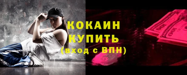 индика Кинешма