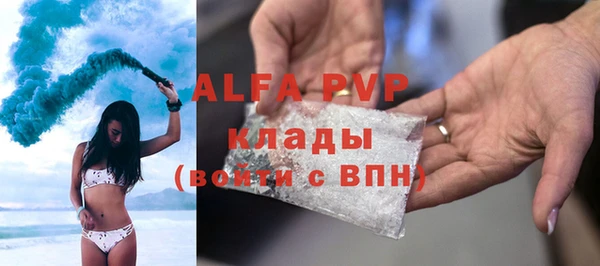 индика Кинешма