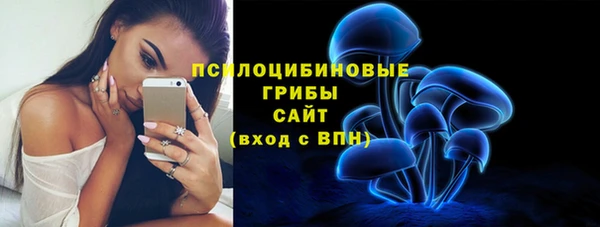 индика Кинешма