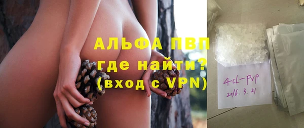 индика Кинешма