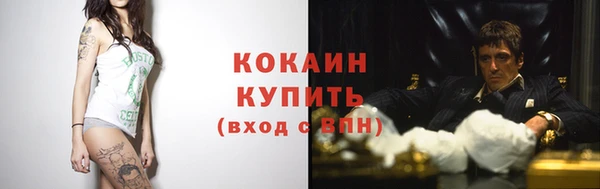 индика Кинешма