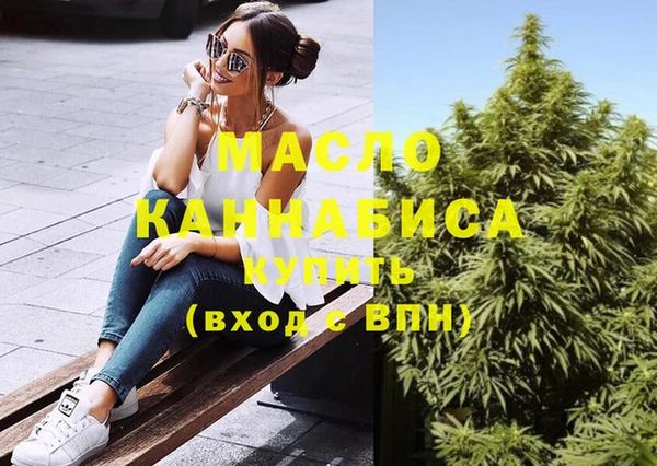 индика Кинешма