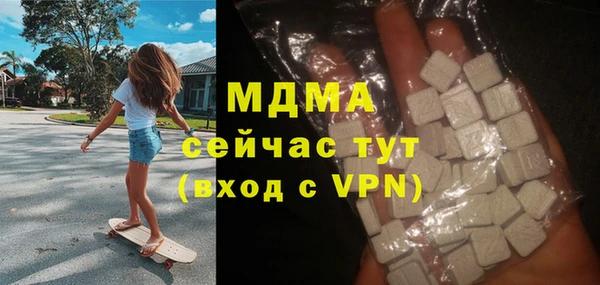 индика Кинешма