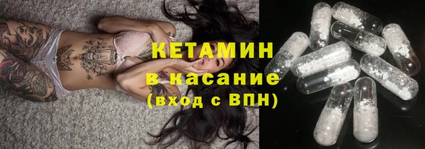 индика Кинешма
